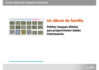 Xarxa I Present Professional 2