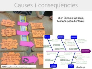 Causes i conseqüències
Quin impacte té l’acció
humana sobre l’entorn?

Font:theappliciousteacher.blogspot.com

eduteka.org

 