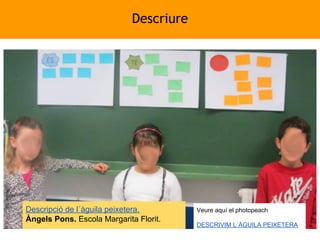 Descriure

Descripció de l´àguila peixetera.
Àngels Pons. Escola Margarita Florit.

Veure aquí el photopeach
DESCRIVIM L´ÀGUILA PEIXETERA

 