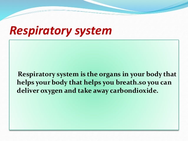 respiratory system powerpoint