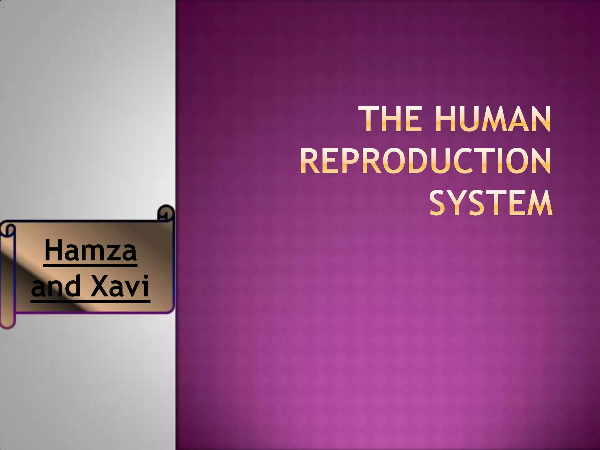 human-reproduction-ppt
