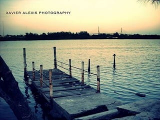 Xavieralexis&desings