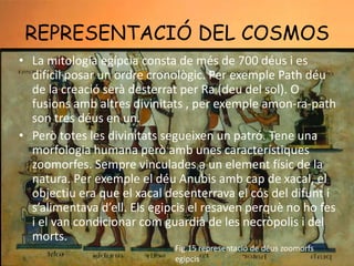 REPRESENTACIÓ DEL COSMOS
• La mitologia egípcia consta de més de 700 déus i es
difícil posar un ordre cronològic. Per exemple Path déu
de la creació serà desterrat per Ra (deu del sol). O
fusions amb altres divinitats , per exemple amon-ra-path
son tres déus en un.
• Però totes les divinitats segueixen un patró. Tene una
morfologia humana però amb unes característiques
zoomorfes. Sempre vinculades a un element físic de la
natura. Per exemple el déu Anubis amb cap de xacal, el
objectiu era que el xacal desenterrava el cós del difunt i
s’alimentava d’ell. Els egipcis el resaven perquè no ho fes
i el van condicionar com guardià de les necròpolis i del
morts.
Fig.15 representació de déus zoomorfs
egipcis

 