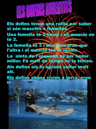 Els dofins tenen una ratlla per saber si són mascles o femelles. Una femella té 3 línies i un mascle en té 2. La femella té 3 i una mes gran que l'altra i el mascla les té iguals. La  aleta de l'esquena es per nedar millor. Fa molt de temps no la tenien. Als dofins els hi agrada saltar molt alt. Els dofins abans vivien a terra, eren terrestres. ELS DOFINS DIVERTITS 