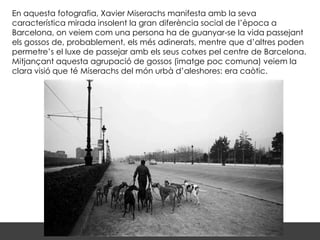 En aquesta fotografia, Xavier Miserachs manifesta amb la seva
característica mirada insolent la gran diferència social de l’època a
Barcelona, on veiem com una persona ha de guanyar-se la vida passejant
els gossos de, probablement, els més adinerats, mentre que d’altres poden
permetre’s el luxe de passejar amb els seus cotxes pel centre de Barcelona.
Mitjançant aquesta agrupació de gossos (imatge poc comuna) veiem la
clara visió que té Miserachs del món urbà d’aleshores: era caòtic.
 