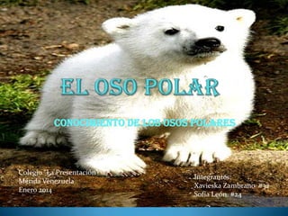Conocimiento de los osos polares

Colegio “La Presentación”
Mérida Venezuela
Enero 2014

Integrantes:
Xavieska Zambrano #32
Sofía León. #24

 