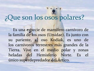 ¿Que son los osos polares?
Es una especie de mamífero carnívoro de
la familia de los osos (Ursidae). Es junto con
su pariente, el oso Kodiak, es uno de
los carnívoros terrestres más grandes de la
Tierra. Vive en el medio polar y zonas
heladas del Hemisferio Norte. Es el
único superdepredador del Ártico.

 