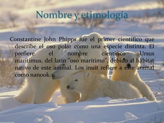 Nombre y etimología
Constantine John Phipps fue el primer científico que
describe el oso polar como una especie distinta. El
prefiere
el
nombre
científico
Ursus
maritimus, del latín "oso marítimo", debido al hábitat
nativo de este animal. Los inuit refiere a este animal
como nanook.

 