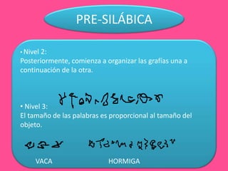 PRE-SILÁBICA
• Nivel 2:
Posteriormente, comienza a organizar las grafías una a
continuación de la otra.
• Nivel 3:
El tamaño de las palabras es proporcional al tamaño del
objeto.
VACA HORMIGA
 