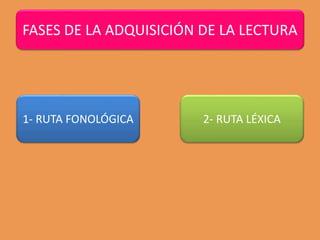 1- RUTA FONOLÓGICA 2- RUTA LÉXICA
FASES DE LA ADQUISICIÓN DE LA LECTURA
 