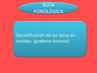 RUTA
FONOLÓGICA
Decodificación de las letras en
sonidos. (grafema-fonema)
 