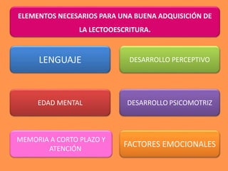 LENGUAJE
EDAD MENTAL
DESARROLLO PERCEPTIVO
DESARROLLO PSICOMOTRIZ
FACTORES EMOCIONALES
ELEMENTOS NECESARIOS PARA UNA BUENA ADQUISICIÓN DE
LA LECTOOESCRITURA.
MEMORIA A CORTO PLAZO Y
ATENCIÓN
 