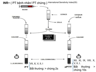 VII, X, V, II, I
Bất thường: > chứng 2s
XII, XI, IX, VIII, X,
V, II, I.
Bất thường >
chứng 10s
INR= ( PT bệnh nhân/ PT chứng ) International Sensitivity Index(ISI)
 