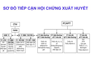 SƠ ĐỒ TIẾP CẬN HỘI CHỨNG XUẤT HUYẾT
 