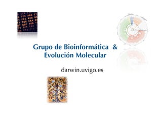 Grupo de Bioinformática &
   Evolución Molecular

        darwin.uvigo.es
 