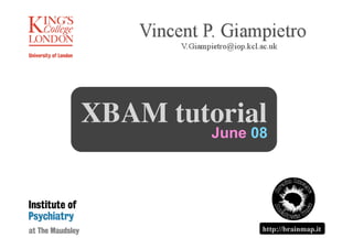 XBAM tutorial
         June 08




                            1
               http://brainmap.it
 