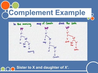 Complement Example
Sister to X and daughter of X'.
 