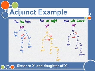 Adjunct Example
Sister to X' and daughter of X'.
 