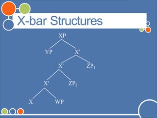 ©Andrew Carnie,2006
X-bar Structures
XP
X'
X' ZP1
X' ZP2
YP
X WP
 