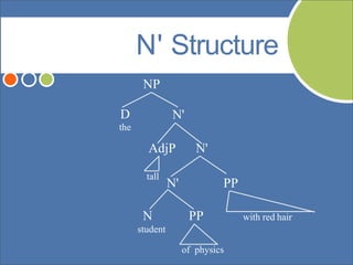 N' Structure
NP
D
the
N'
PPN
student
of physics
with red hair
PP
AdjP N'
tall
N'
 