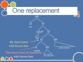 ©Andrew Carnie,2006
the short [one]
with brown hair
One replacement
NP
D
the
N'
N PP with red hair
PP
AdvP N'
tall
N'
student
*the short [one] of chemistry
of physics
 