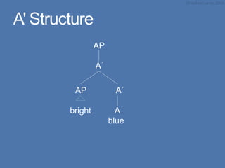 A' Structure
AP
A’
AP A’
bright A
blue
 
