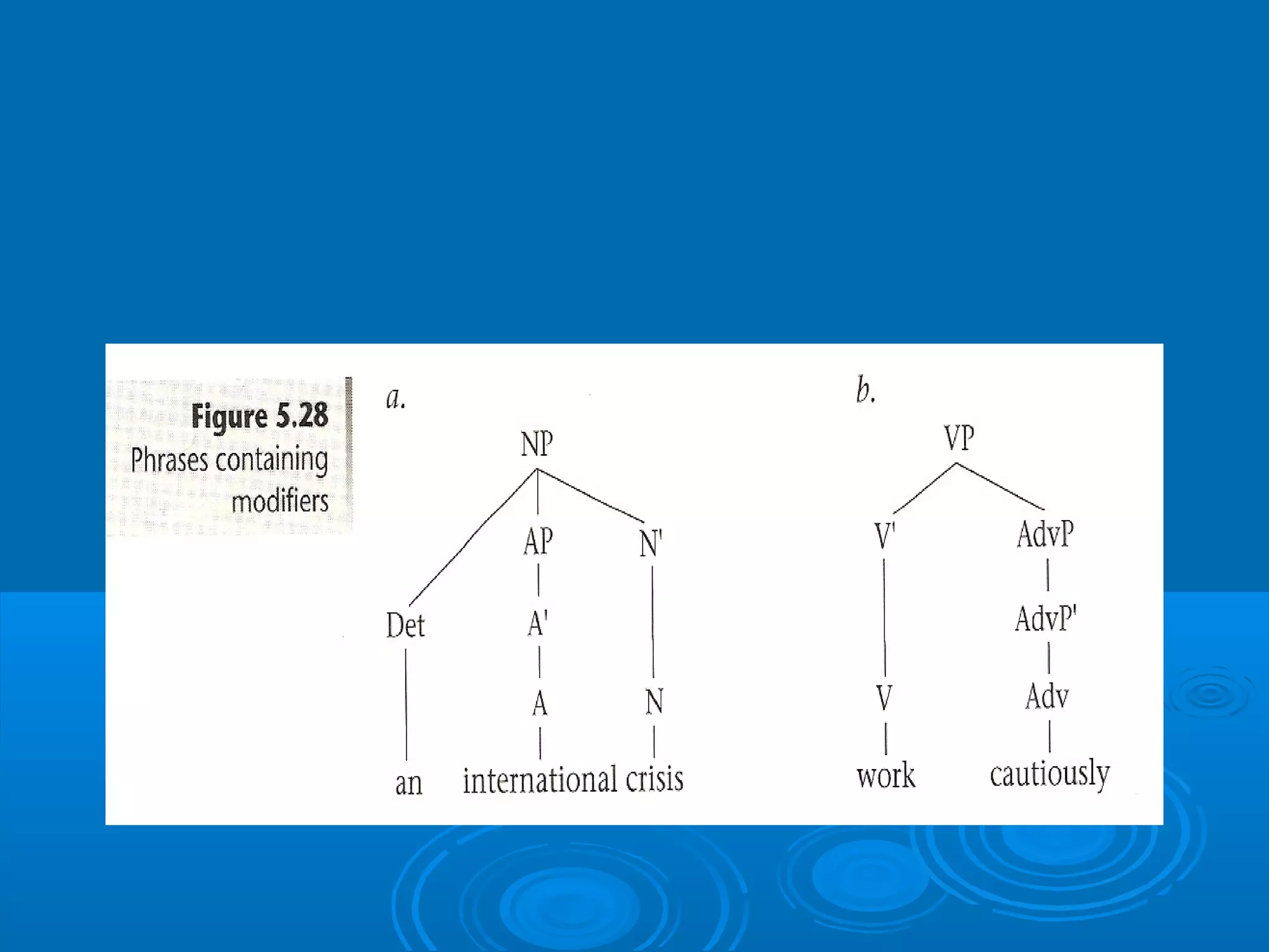 X bar schema