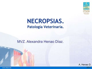 NECROPSIAS.
Patología Veterinaria.
2011
MVZ. Alexandra Henao Díaz.
A. Henao D.
 