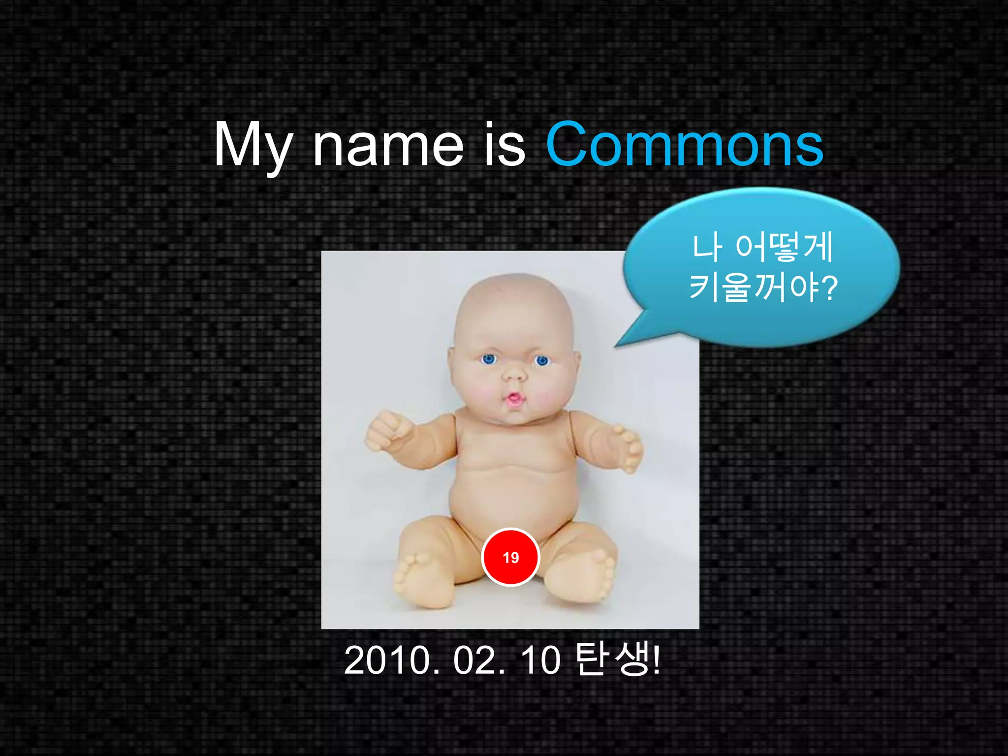 My name is Commons나 어떻게 키울꺼야?192010. 02. 10 탄생!