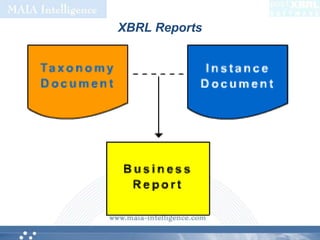 XBRL Reports