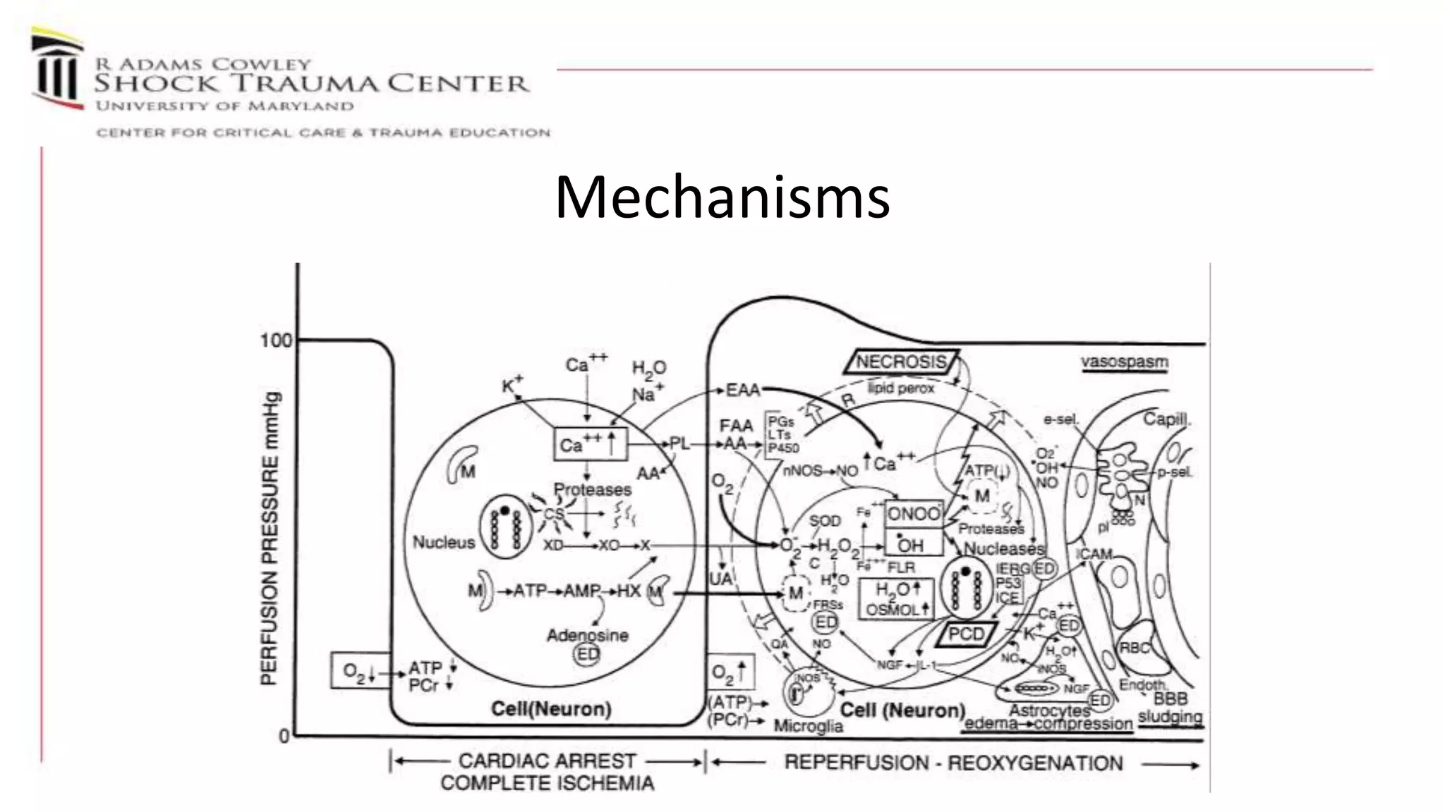 Exsanguinating trauma, from CPR to EPR - Samuel Tisherman | PPT