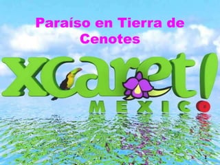 Paraíso en Tierra de
Cenotes
1
 