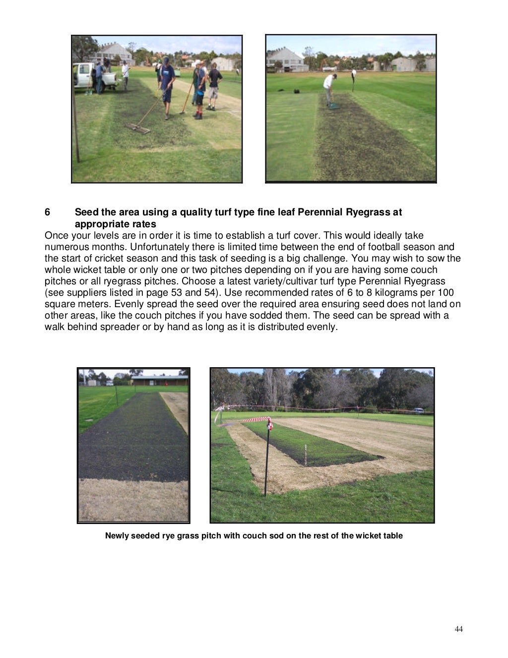 Basic guide to turf cricket pitch preparation