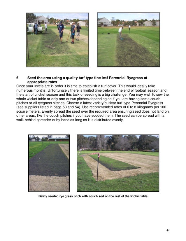 Basic guide to turf cricket pitch preparation