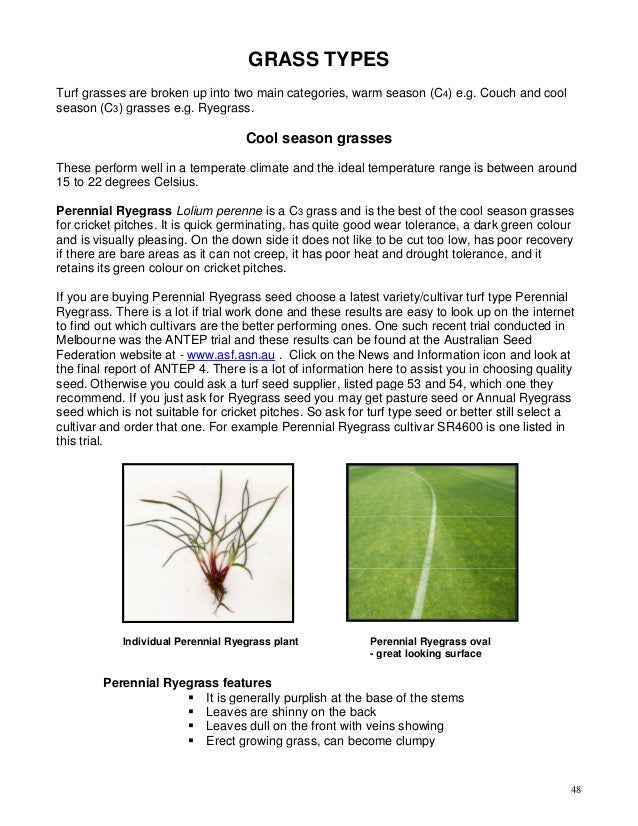Basic Guide To Turf Cricket Pitch Preparation
