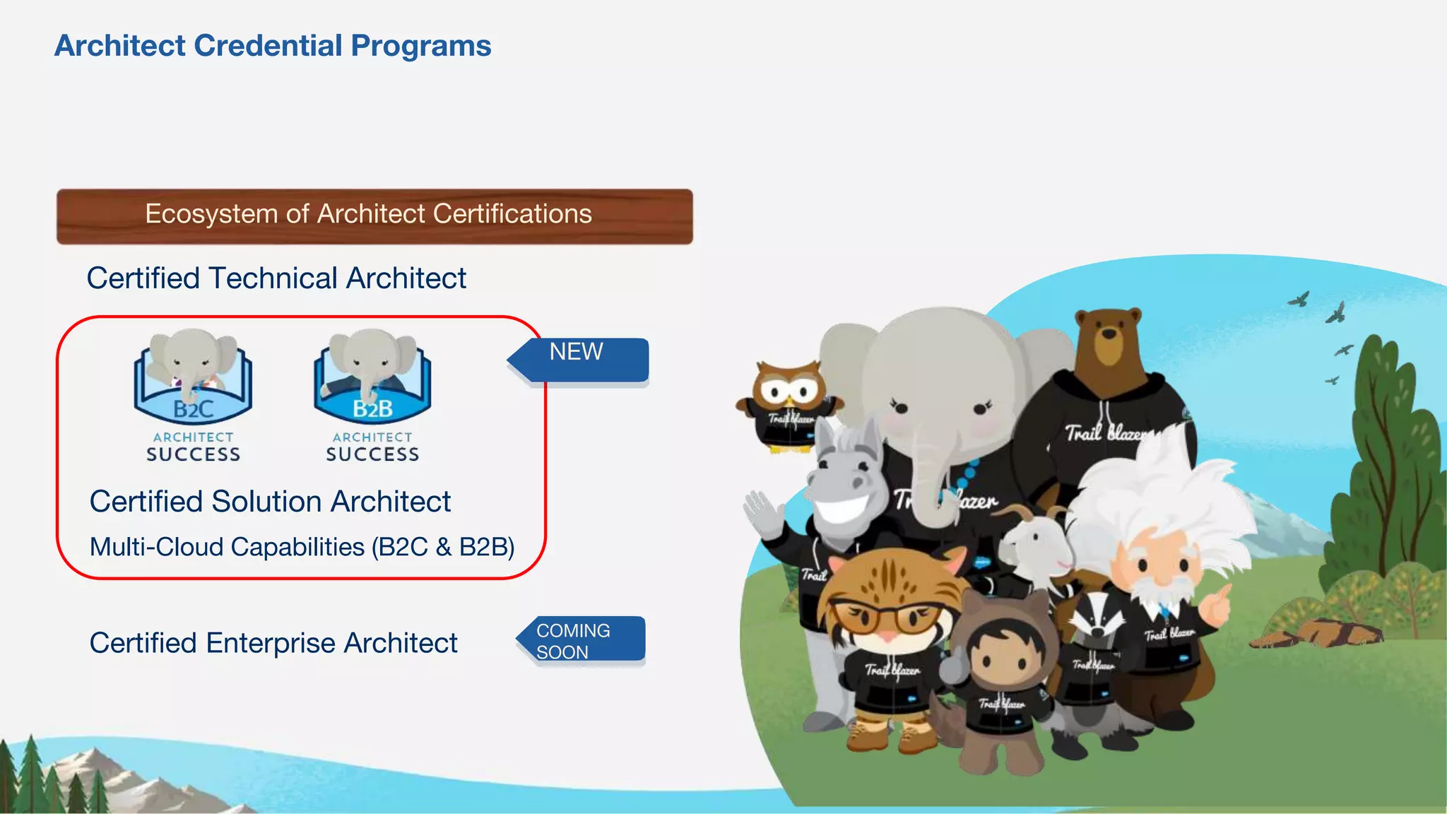 Ecosystem of Architect Certifications
Certified Technical Architect
Certified Solution Architect
Multi-Cloud Capabilities (B2C & B2B)
Certified Enterprise Architect
Architect Credential Programs
COMING
SOON
NEW
 