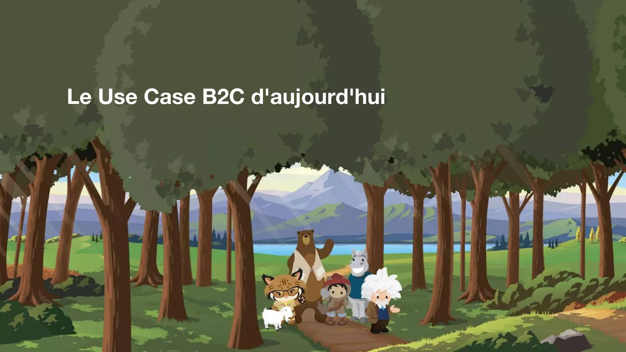 Le Use Case B2C d'aujourd'hui
 