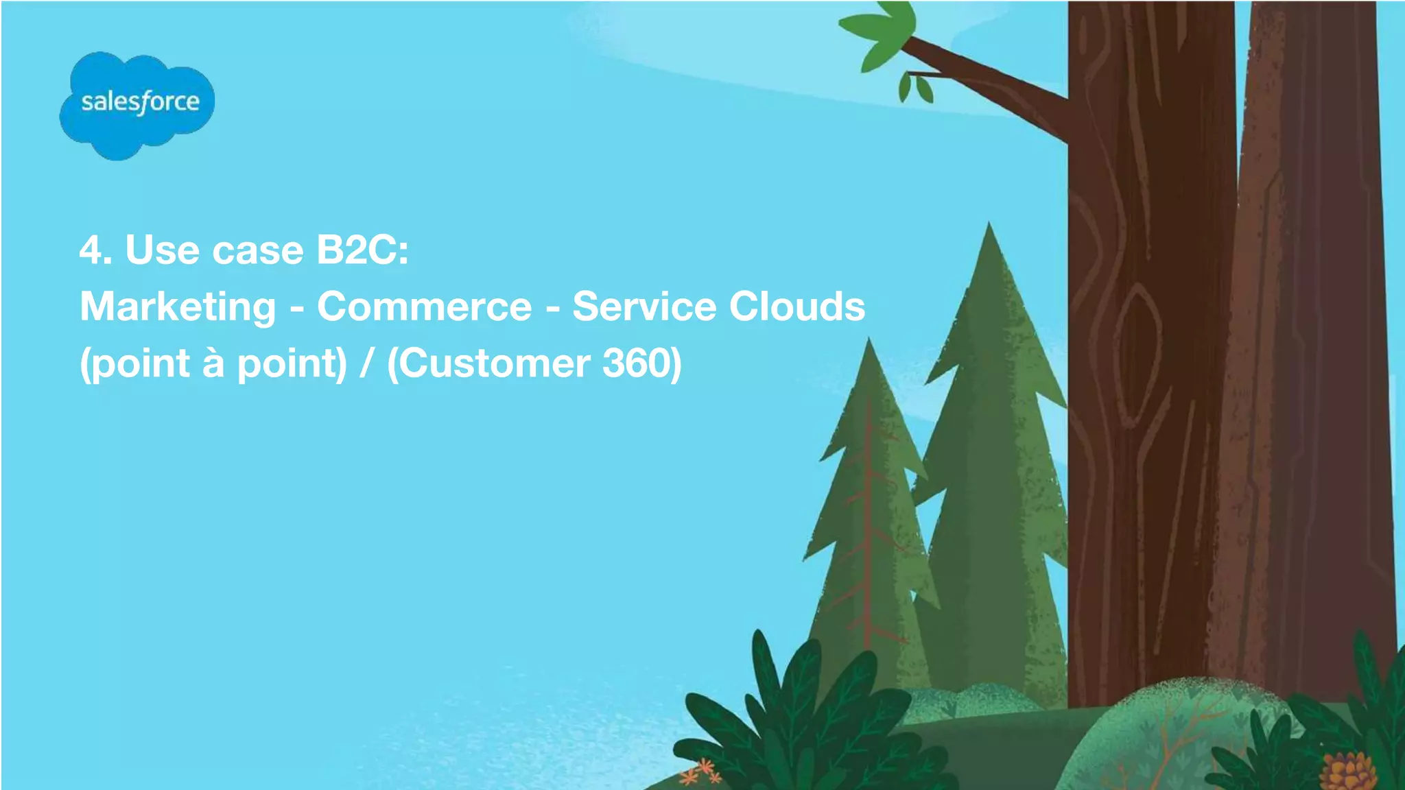 4. Use case B2C:
Marketing - Commerce - Service Clouds
(point à point) / (Customer 360)
 