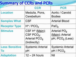 Summary of CCRs and PCRs
CCR PCR
Location Medulla, Pons,
Cerebellum
Aortic / Carotid
Bodies
Samples What CSF Arterial Blood
Receptor Type H+ / PCO2 PaO2
Stimulus CSF H+ (Main);
CSF PCO2;
Arterial PCO2
(Indirectly)
Arterial PO2
(Main); Arterial
pH, PCO2 (Less)
Less Sensitive
To
Systemic Arterial
pH
Systemic Arterial
pH / PCO2
Adaptation 12 – 24 hours Nil
 