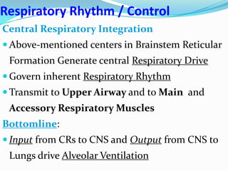 Respiratory Rhythm / Control
Central Respiratory Integration
 Above-mentioned centers in Brainstem Reticular
Formation Generate central Respiratory Drive
 Govern inherent Respiratory Rhythm
 Transmit to Upper Airway and to Main and
Accessory Respiratory Muscles
Bottomline:
 Input from CRs to CNS and Output from CNS to
Lungs drive Alveolar Ventilation
 