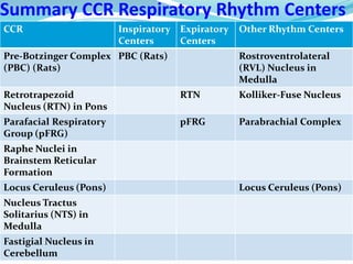 Summary CCR Respiratory Rhythm Centers
CCR Inspiratory
Centers
Expiratory
Centers
Other Rhythm Centers
Pre-Botzinger Complex
(PBC) (Rats)
PBC (Rats) Rostroventrolateral
(RVL) Nucleus in
Medulla
Retrotrapezoid
Nucleus (RTN) in Pons
RTN Kolliker-Fuse Nucleus
Parafacial Respiratory
Group (pFRG)
pFRG Parabrachial Complex
Raphe Nuclei in
Brainstem Reticular
Formation
Locus Ceruleus (Pons) Locus Ceruleus (Pons)
Nucleus Tractus
Solitarius (NTS) in
Medulla
Fastigial Nucleus in
Cerebellum
 