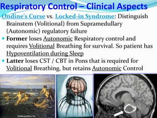 Respiratory Control – Clinical Aspects
Ondine's Curse vs. Locked-in Syndrome: Distinguish
Brainstem (Volitional) from Supramedullary
(Autonomic) regulatory failure
 Former loses Autonomic Respiratory control and
requires Volitional Breathing for survival. So patient has
Hypoventilation during Sleep
 Latter loses CST / CBT in Pons that is required for
Volitional Breathing, but retains Autonomic Control
 