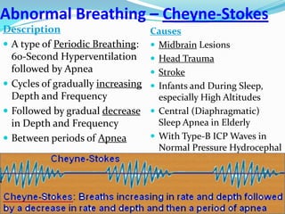 Abnormal Breathing – Cheyne-Stokes
Description
 A type of Periodic Breathing:
60-Second Hyperventilation
followed by Apnea
 Cycles of gradually increasing
Depth and Frequency
 Followed by gradual decrease
in Depth and Frequency
 Between periods of Apnea
Causes
 Midbrain Lesions
 Head Trauma
 Stroke
 Infants and During Sleep,
especially High Altitudes
 Central (Diaphragmatic)
Sleep Apnea in Elderly
 With Type-B ICP Waves in
Normal Pressure Hydrocephal
 