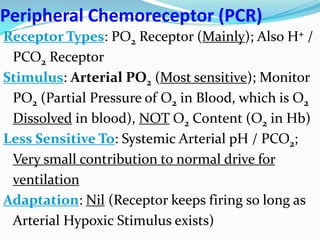 Peripheral Chemoreceptor (PCR)
Receptor Types: PO2 Receptor (Mainly); Also H+ /
PCO2 Receptor
Stimulus: Arterial PO2 (Most sensitive); Monitor
PO2 (Partial Pressure of O2 in Blood, which is O2
Dissolved in blood), NOT O2 Content (O2 in Hb)
Less Sensitive To: Systemic Arterial pH / PCO2;
Very small contribution to normal drive for
ventilation
Adaptation: Nil (Receptor keeps firing so long as
Arterial Hypoxic Stimulus exists)
 