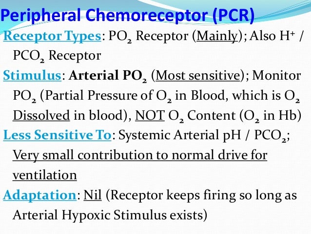 types of breathing patterns