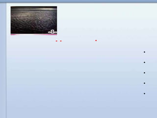 •--
•
•
•
•
•
 