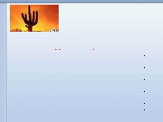 •--
•
•
•
•
•
•