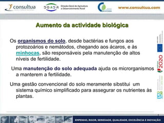 Aumento da actividade biológica
Os organismos do solo, desde bactérias e fungos aos
protozoários e nemátodos, chegando aos ácaros, e às
minhocas, são responsáveis pela manutenção de altos
níveis de fertilidade.
Uma manutenção do solo adequada ajuda os microrganismos
a manterem a fertilidade.
Uma gestão convencional do solo meramente sibstitui um
sistema químico simplificado para assegurar os nutrientes às
plantas.
 