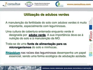Utilização de adubos verdes
A manutenção da fertilidade do solo com adubos verdes é muito
importante, especialmente com leguminosas.
Uma cultura de cobertura enterrada enquanto verde é
designada por adubo verde. A sua importância deve-se à
nutrição do solo e à manutenção da MO.
Trata-se de uma fonte de alimentação para os
microrganismos do solo e minhocas.
Rhizobium nas raízes das leguminosas desempenha um papel
essencial, sendo uma forma ecológica de adubação azotada.
 