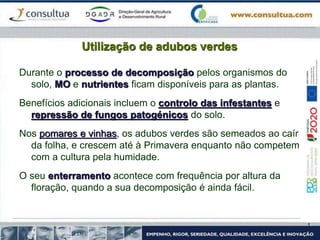 Utilização de adubos verdes
Durante o processo de decomposição pelos organismos do
solo, MO e nutrientes ficam disponíveis para as plantas.
Benefícios adicionais incluem o controlo das infestantes e
repressão de fungos patogénicos do solo.
Nos pomares e vinhas, os adubos verdes são semeados ao caír
da folha, e crescem até à Primavera enquanto não competem
com a cultura pela humidade.
O seu enterramento acontece com frequência por altura da
floração, quando a sua decomposição é ainda fácil.
 